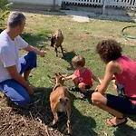 Le Cerque Alojamento de Acomodação e Pequeno-almoço 3*