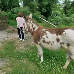Le Cerque 3* Spoleto