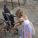Le Cerque Σπολέτο