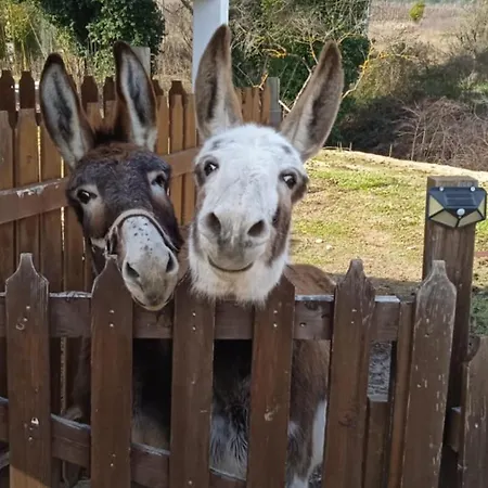 Alojamento de Acomodação e Pequeno-almoço Le Cerque Spoleto