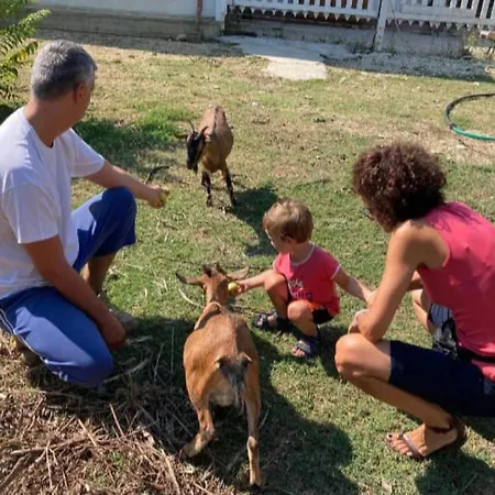 Le Cerque Panzió 3*