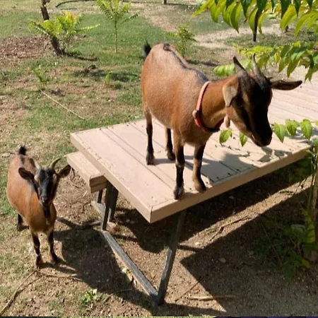 Le Cerque 3* Spoleto