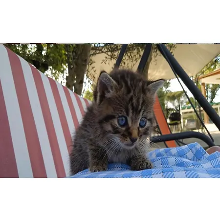 Le Cerque Panzió Spoleto