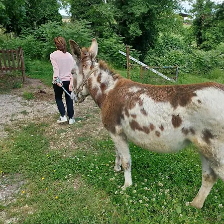 Le Cerque 3* Spoleto