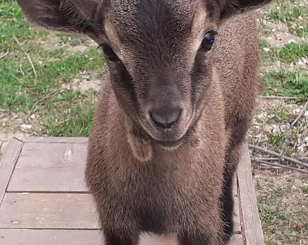 B&B Le Cerque 스폴레토