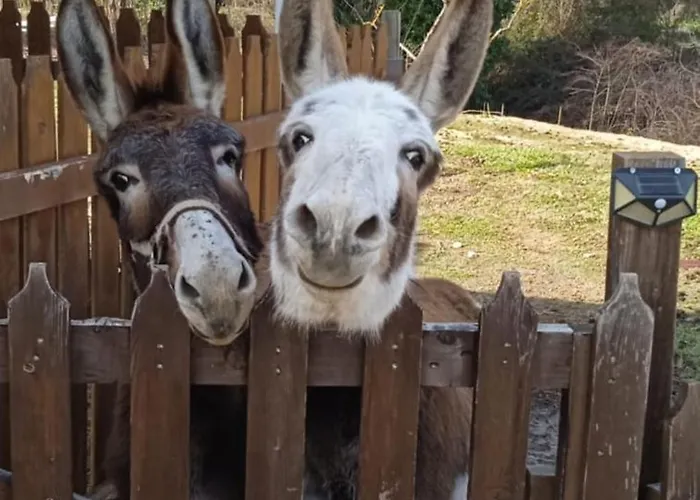 B&B Le Cerque 스폴레토