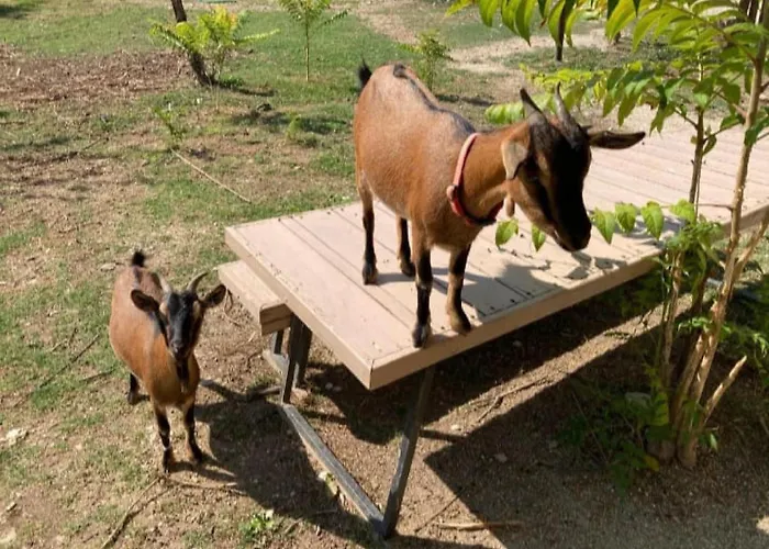 Le Cerque 3* 스폴레토