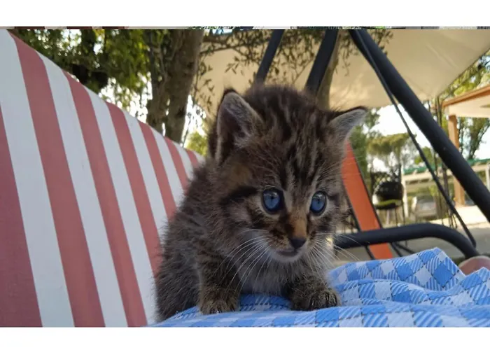 Le Cerque Bed and breakfast Spoleto