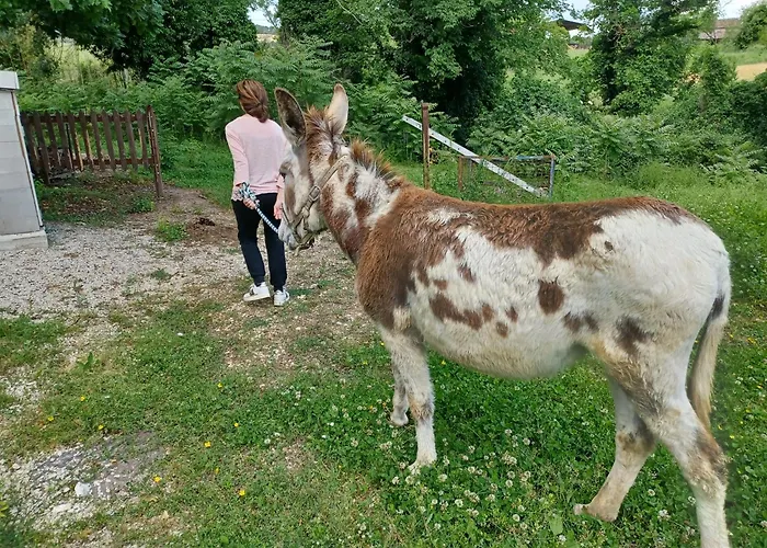 Le Cerque 3* 스폴레토