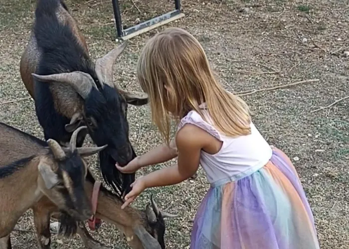 Le Cerque 스폴레토