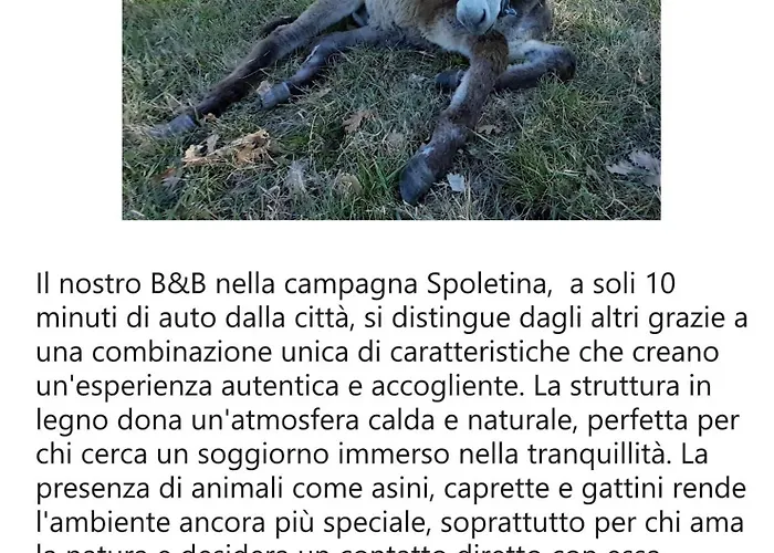 Le Cerque Bed and breakfast